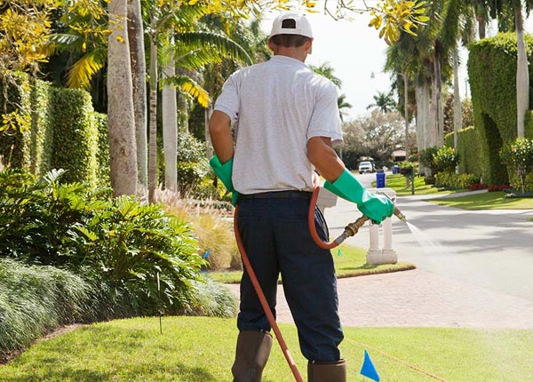 About Letcher KY Pest Control